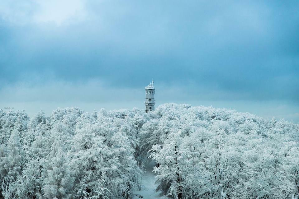 Chalupa Luzicke Hory Dolni Svetla Buitenkant foto